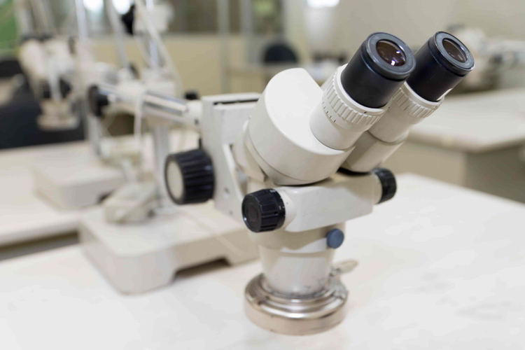 実体顕微鏡